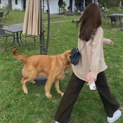 地狱少女第四季